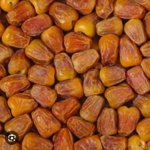 WhatsApp Image 2025-11-20 at 6.07.33 PM (2)