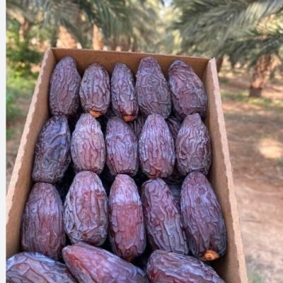 WhatsApp Image 2025-11-20 at 6.13.32 PM (2)